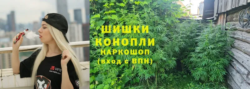 Шишки марихуана Ganja  Кемь 